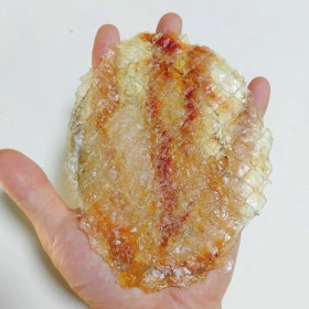 통순살 아귀포 10장 (11,780원/무배)