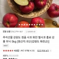 강원도 정품 홍로사과 5kg (29900원/무료)4