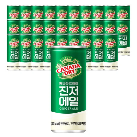 캐나다드라이 진저에일 250ml 30개 (13,720원/무료)9