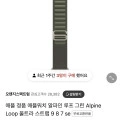 애플워치 스트랩 알파인 루프 그린 (64,800원/3,000원)2