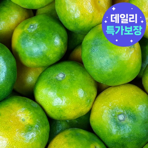 제주 노지감귤 특품 2kg 2S-M (7,820원/무배)11