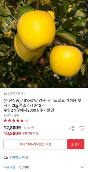 경북 시나노골드 가정용 햇 사과 2kg 중소과 10-12과 (10,880원/무배)9