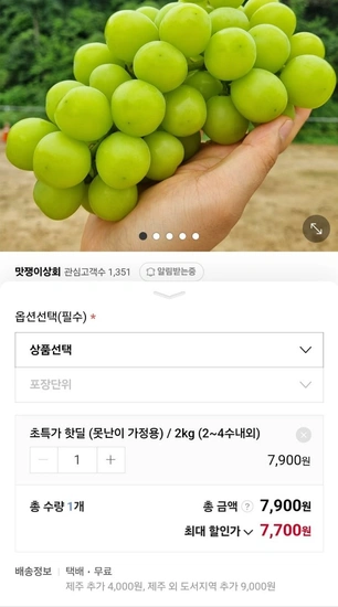 김천 샤인머스캣 2kg (7,900원 / 무배)11