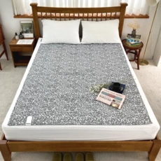 대원의료기 온열장판 전기매트 (더블 135x180) (44,500/로켓배송)