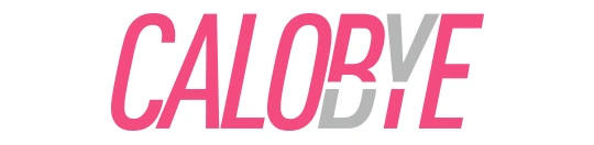 칼로바이 퍼펙트 파워쉐이크 20g 초코맛 250ml 24개입 (24,900원 / 무료)