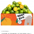 제주 햇조생 노지감귤 4.5kg 로얄과 (2s-m) (12,370원/무료)3
