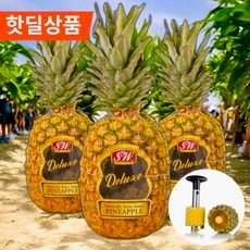 필리핀 수입직송 골드 파인애플 특대 1수 1.7kg (11,700원/무배)6