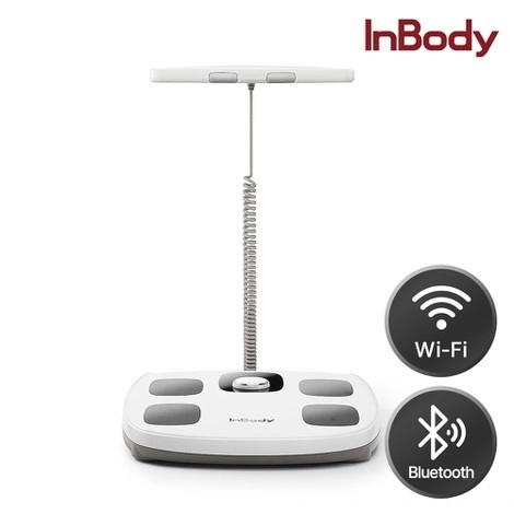 인바디 체중계 인바디 다이얼 H30NWi 와이파이 (339,000원/무배)11