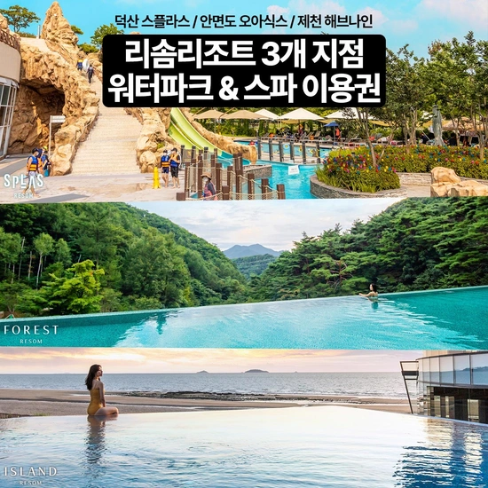 덕산 스플라스 리솜리조트 워터파크&스파 소인권(카카오14,990원/무료)3
