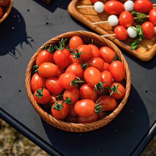 대추방울토마토 1.5kg  (16,900원/무료) 체감가 12,900원1