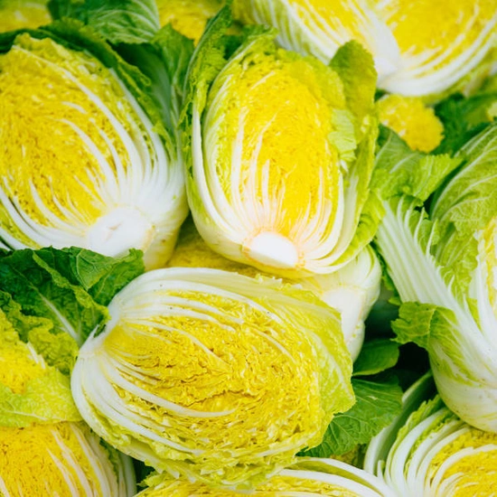 HACCP 해남절임배추 20kg 김장 절임 배추 (티멤21,470원/무료)3