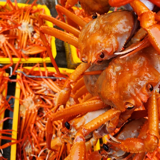 국내산 연지홍게 6kg 9-12미 (카카오토스24,000원/무배)5