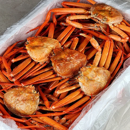 구룡포 연지홍게 자숙3kg 10-12미 (카카오14,530원/무료)6