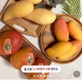 ]에플망고 2kg (9,900원/무료)23