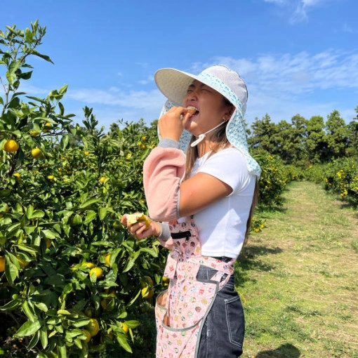 노지감귤 10kg (10,800원/무료)14