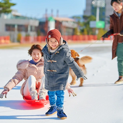 휘닉스 파크 평창 Family Snow 3인패키지 시즌2 (170,270원/무료)4