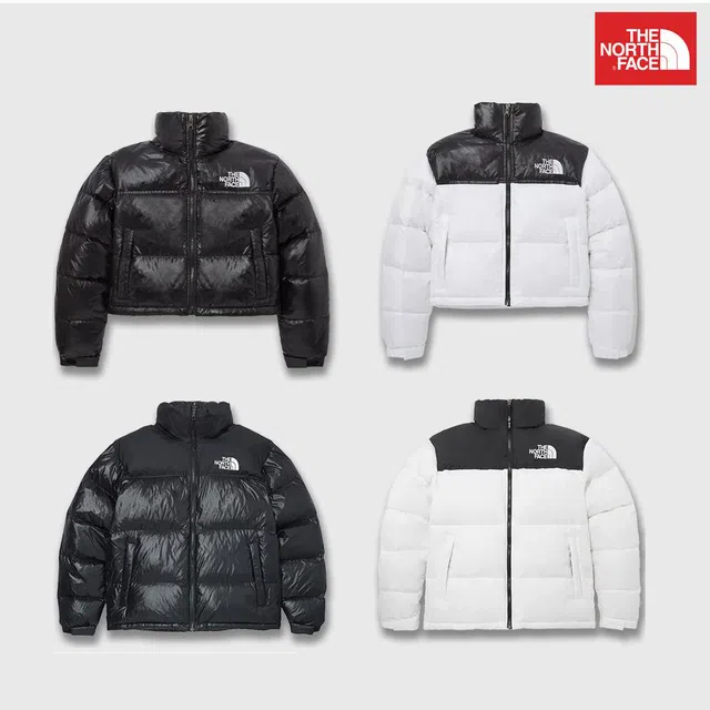 노스페이스 THE NORTH FACE눕시 하이브리드 다운 볼자켓 다운 패딩 4종 (179,000원 / 무배)11