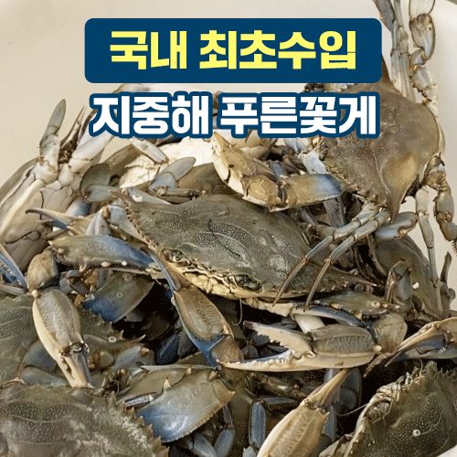 급냉꽃게 1kg 암수혼합 (4900원/배송비 4000원)2