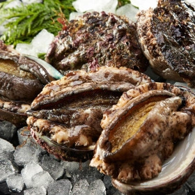 갯마을 완도 대활전복 1kg 10-11미 농카+유클 (16,680원/무료)5