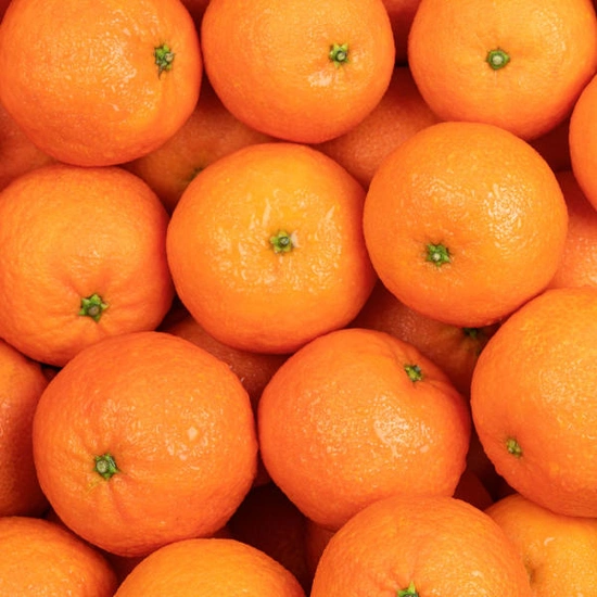 제주 노지감귤 중대사이즈 10kg (11,900원/무배)2