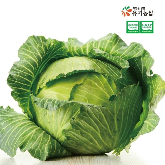 ] 국내산 유기농 양배추 2kg(1통) (4,740원/무료)5
