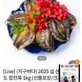 ] 산지직송 완도 참전복 1kg 특특대,특대,대,중대 (다양/무료)39