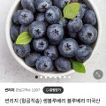 생블루베리 블루베리 미국산 칠레산 125g 5팩(12,500원/무료)7