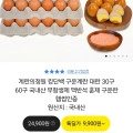 구운계란 대란 60구 국내산 무항생제 맥반석 훈제 구운란 (14,760원/무배)2