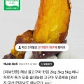 해남 베니하루카 무 농약 꿀고구마 한입2키로 (5800원/무배)6