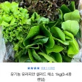 ] 유기농 유러피안 샐러드 채소 1kg(3-4종 랜덤) (7,900원/무료)14