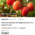 완숙토마토 정품 5kg (16,910원/무료배송)2