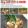 25년 햇 잎양파 4kg (5,900원/무료)12