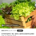 유러피안샐러드 1kg 3종 (7800원/무배)
