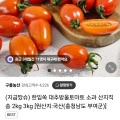 대추방울토마토 2kg (12,400원/무료)1