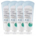 바세린 내추럴 클렌징폼 225ml 4개 (10,780원/무료)