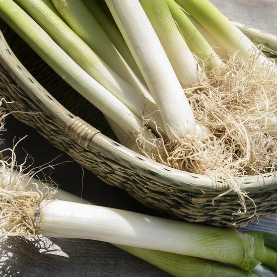 깐 대파 2kg(5,530/무료)2