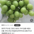 청포도 4kg (4~6수) (14,900원/무료)4