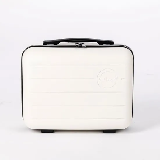 빅앤트 레디백 크림 (16,250/무료)