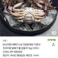 태안 자연산 프리미엄 알배기 활암꽃게 1kg 3-5미 (24,720원/무료)3