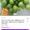 애플청포도 4kg 내외 (16,870원/무료)18