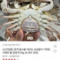 꽃게 알수율 100% 싱싱함이 가득한 서해안 활 암꽃게 1kg (4-6미 내외) (27,670원/무료)2