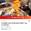 국내산 제철 활 암꽃게 알배기 1kg(4~6미내외) (카할24,240원/무료)1