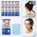 아이스쿨패치 2개입 10팩 (3,900원/무료)1