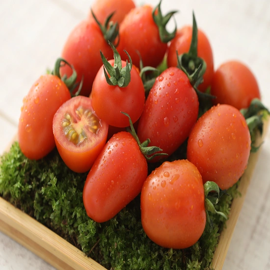 ] 스테비아 대추방울토마토 500g 4팩 (10,993원/무료)22