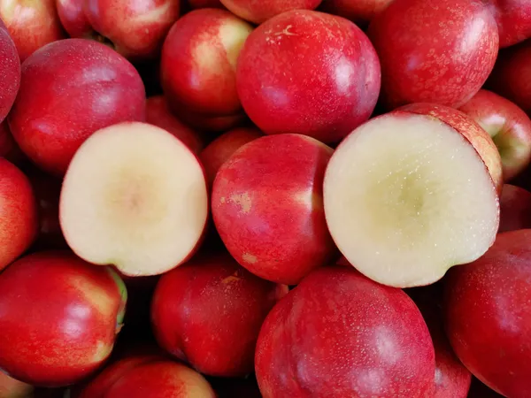 신선복숭아 1kg 로얄과 (16,800원/무료)2