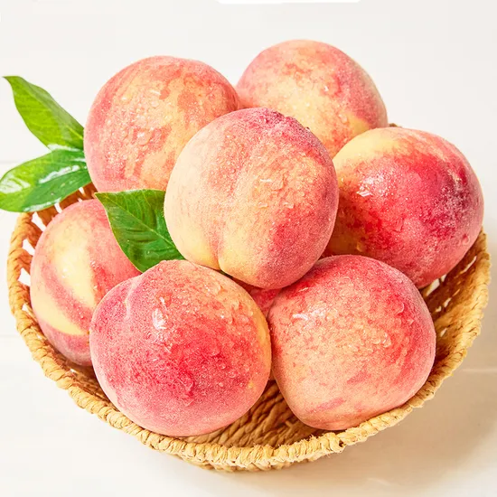 백도/황도 복숭아 1kg (7,900원~/무료)1