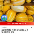 꿀벌 성주 가정용 못난이참외 10kg(8,650원/무배)4
