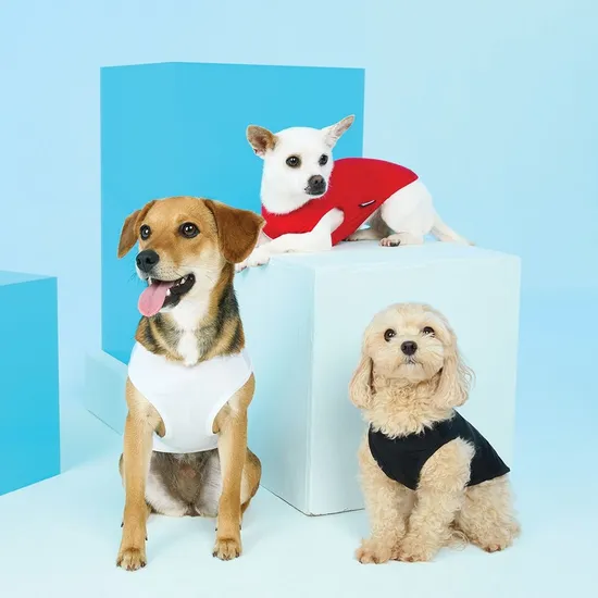 BYC 반려동물 개리야스 (15,000원/무료배송)2