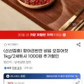 비빔 오징어젓1kg(유클10,920원/무배)