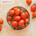 대추방울토마토 2kg (7,900원/무료)1